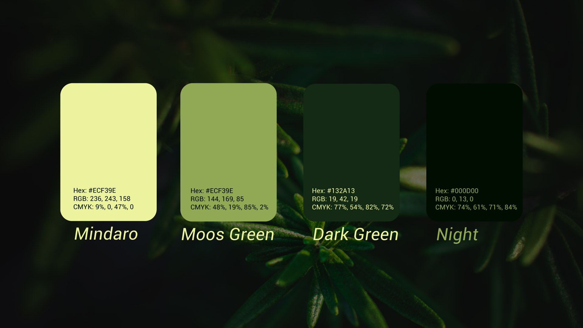 Capsule Home palette color